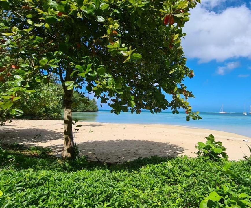 Huahine Manta Lodge Avec 4X4 Optionnel Haapu Exterior foto
