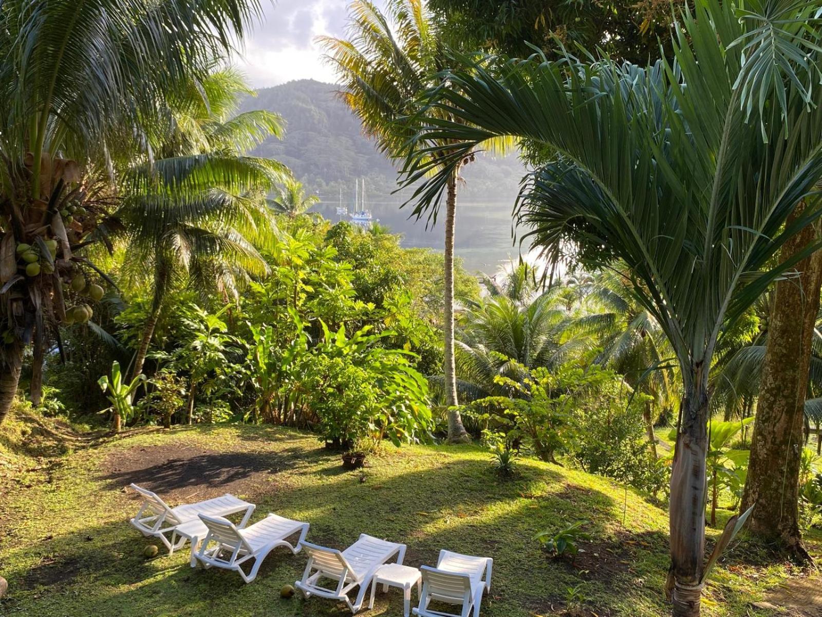 Huahine Manta Lodge Avec 4X4 Optionnel Haapu Exterior foto